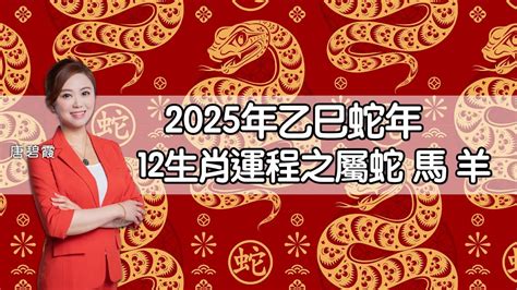 2025年蛇年運程|屬蛇/馬/羊生肖運程2025｜蛇年屬蛇情緒易不穩、屬羊比較平